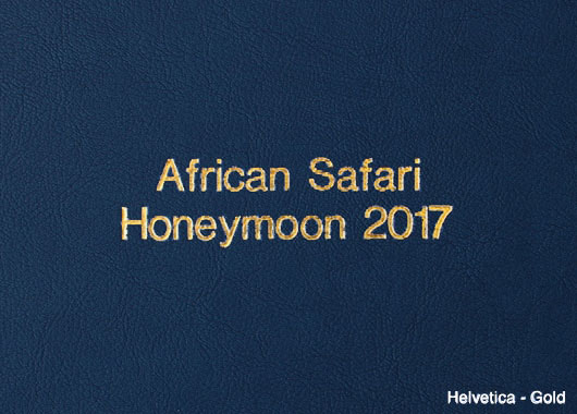 Gold embossed text on a navy photo book cover reading `African Safari Honeymoon 2017`.